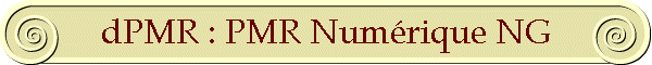 dPMR : PMR Num�rique NG