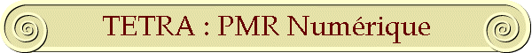 TETRA : PMR Num�rique