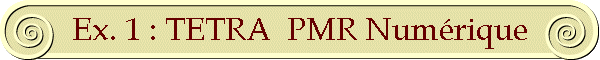 Ex. 1 : TETRA  PMR Num�rique